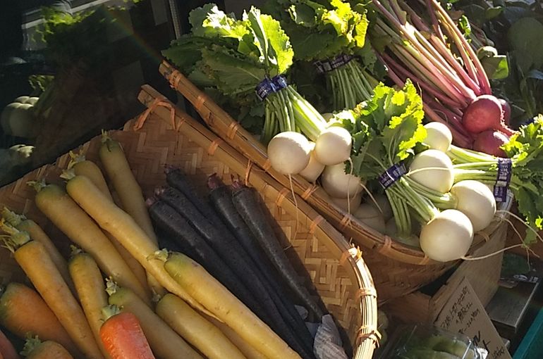 日を浴びる新鮮野菜